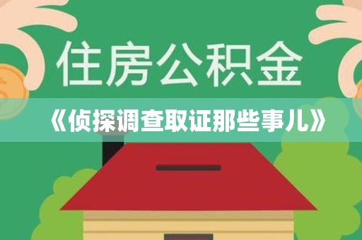 新罗《侦探调查取证那些事儿》