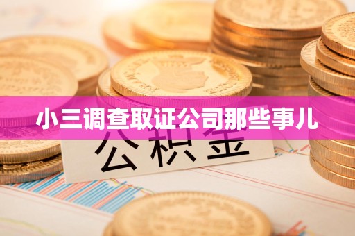 新罗小三调查取证公司那些事儿