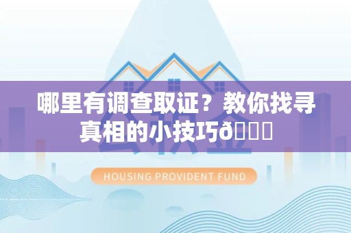 新罗哪里有调查取证？教你找寻真相的小技巧😎