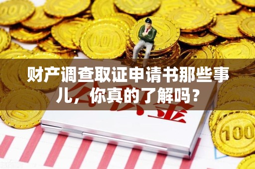 新罗财产调查取证申请书那些事儿，你真的了解吗？