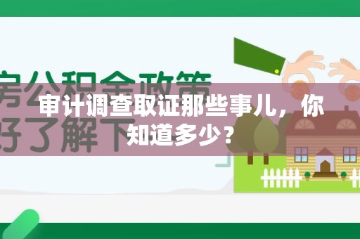 新罗审计调查取证那些事儿，你知道多少？