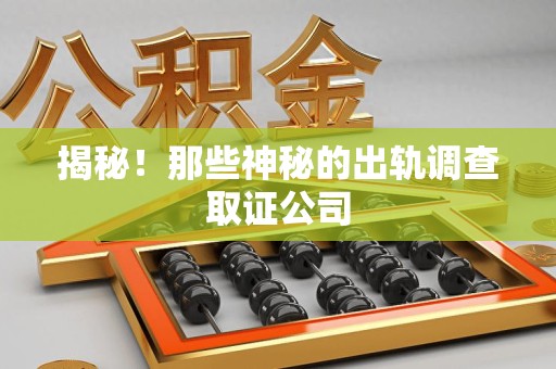 新罗揭秘！那些神秘的出轨调查取证公司