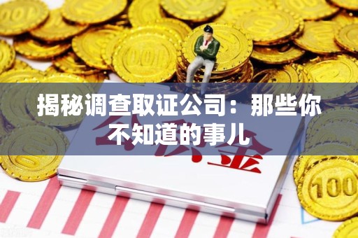 新罗揭秘调查取证公司：那些你不知道的事儿
