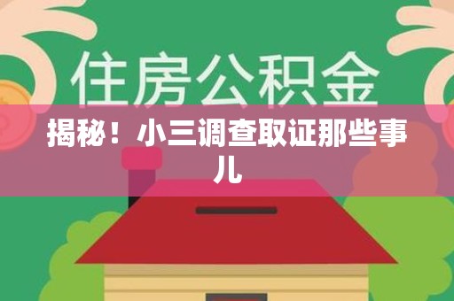 新罗揭秘！小三调查取证那些事儿