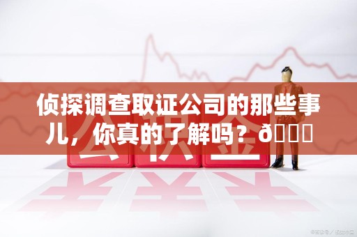 新罗侦探调查取证公司的那些事儿，你真的了解吗？😎