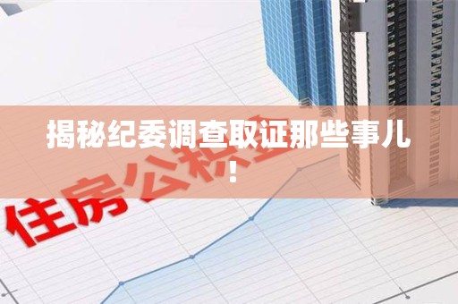新罗揭秘纪委调查取证那些事儿！