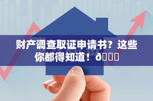 新罗财产调查取证申请书？这些你都得知道！😎