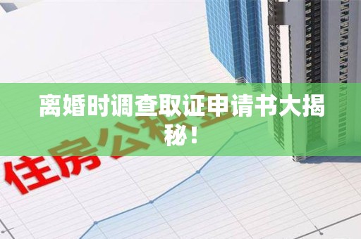 新罗离婚时调查取证申请书大揭秘！